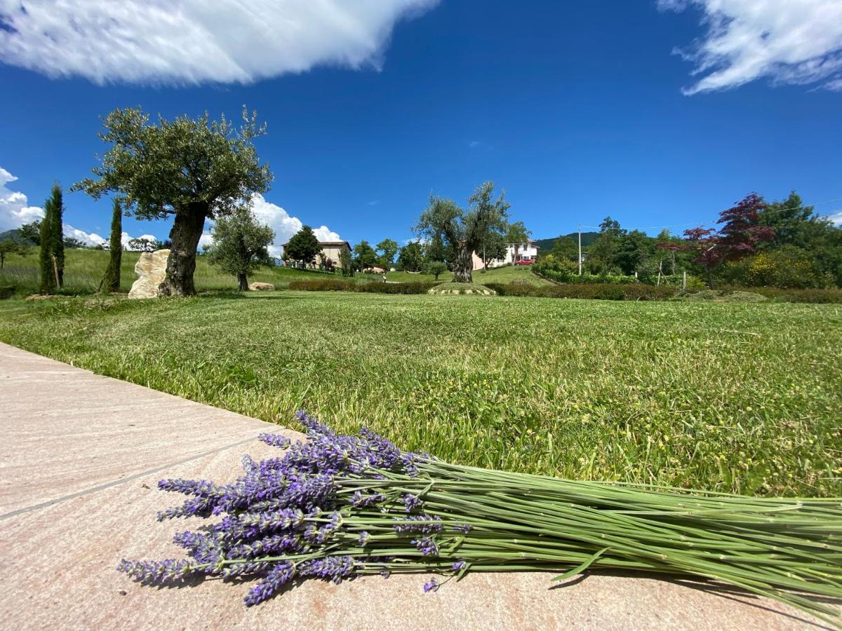 L'Oca Giuliva Relais Bed and Breakfast Gaggio Montano Εξωτερικό φωτογραφία