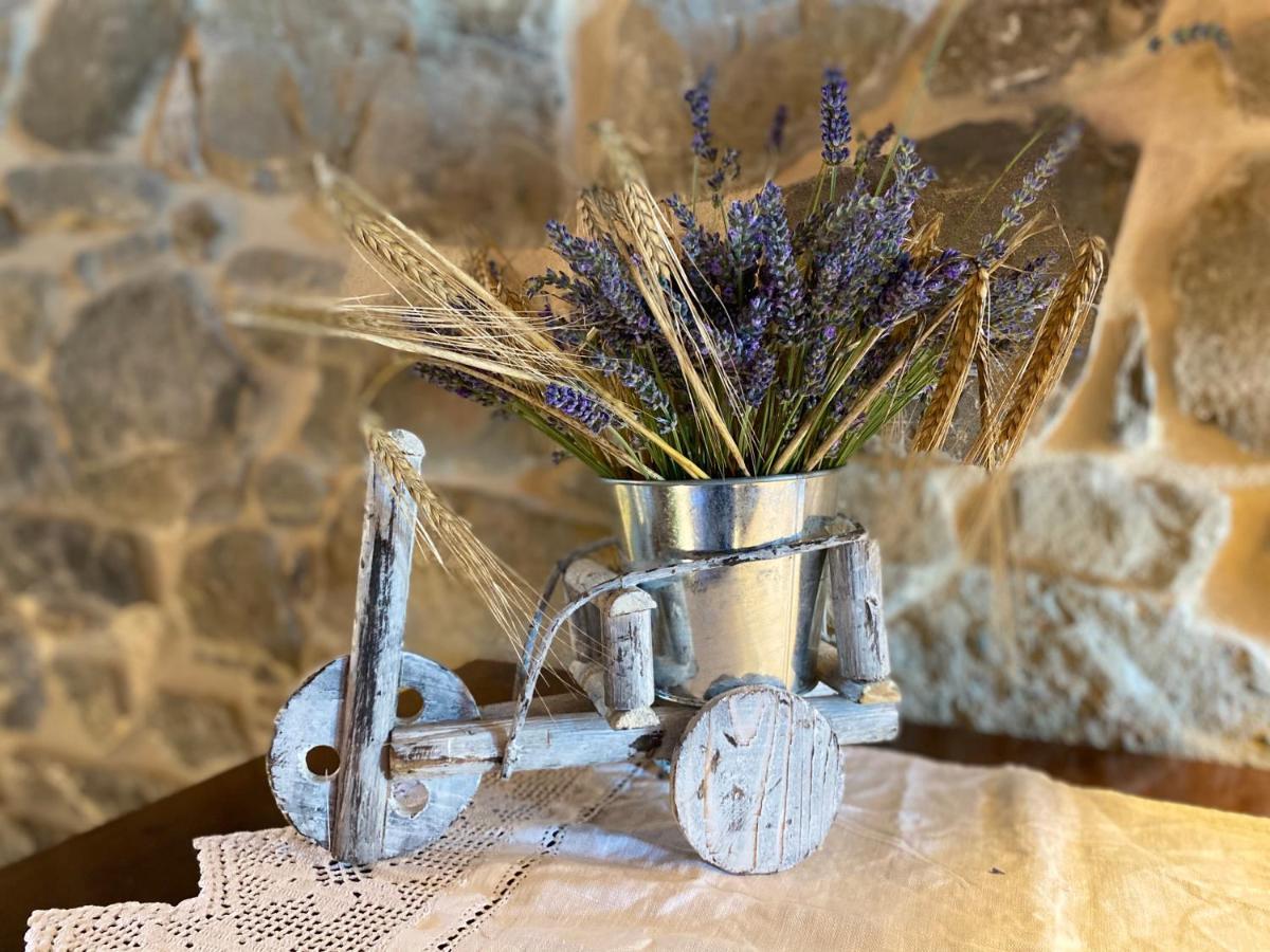 L'Oca Giuliva Relais Bed and Breakfast Gaggio Montano Εξωτερικό φωτογραφία
